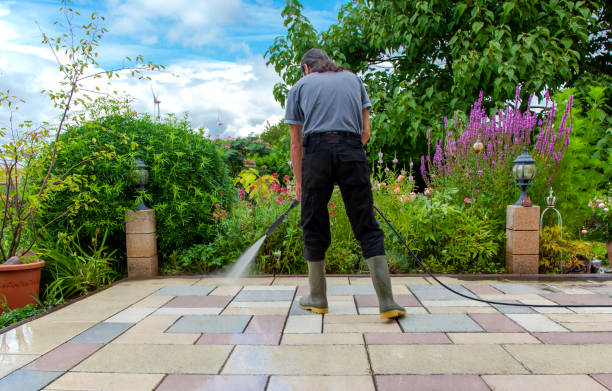 Best Sidewalk and Walkway Cleaning  in Whitmire, SC